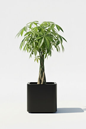 Aura Softbox 30x35cm Fiber Soft-Küp Saksı - Mat - Büyük Saksı - Fiberglass saksı