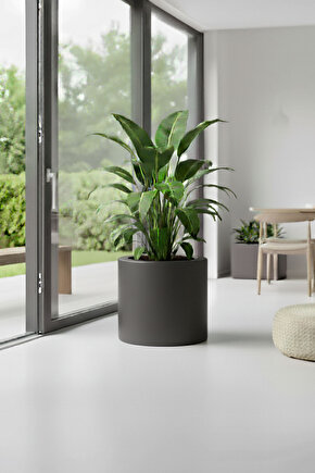 Aura Cylindro 40x40cm Fiber Silindir Saksı - Mat - Büyük Saksı - Üst Açıklık 32cm