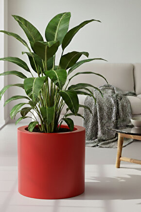 Aura Cylindro 40x40cm Fiber Silindir Saksı - Mat - Büyük Saksı - Üst Açıklık 32cm