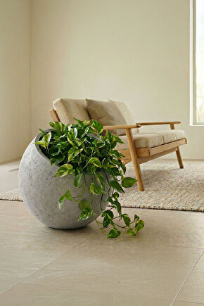 Petra Obliq Eğik Küre Hafif Beton Saksı 30x30cm Doğal Taş Dokulu İç-Dış Mekan