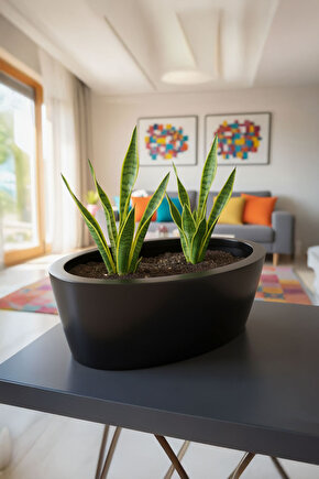 Aura Elipso Elips Fiber Saksı 40x30x20cm Mat - İç ve Dış Mekan