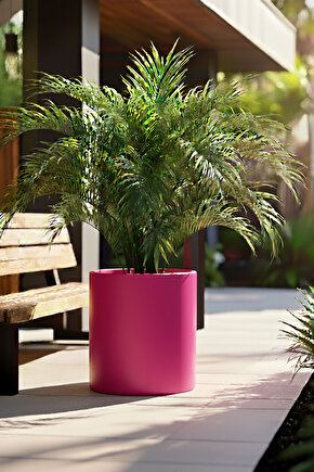 Aura Cylindro 50x40cm Silindir Fiberglas Saksı Büyük Saksı Mat İç Mekan Dış Mekan