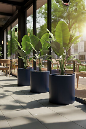 Aura Cylindro 50x40cm Silindir Fiberglas Saksı Büyük Saksı Mat İç Mekan Dış Mekan