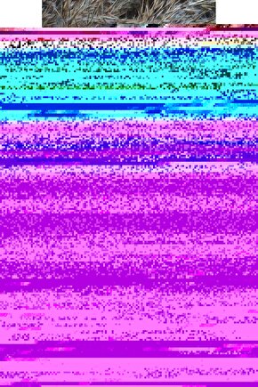 Unisex Bisiklet Yaka Baskılı Oversize T-Shirt - Siyah