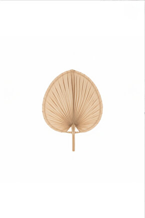 Aura Medium BOY Palmiye Yaprağı Duvar Süsü, Japon Yelpazesi Bohem Stil Dekorasyon, 30 x 20 cm