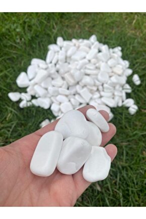 Beyaz Dolomit Taş 1kg 3-6cm Doğal Renkli Peyzaj Taşı Dekoratif Akvaryum Bahçe Süs Taşları