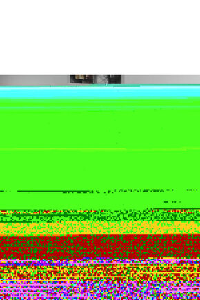 Unisex Bisiklet Yaka Baskılı Thirt  Beyaz