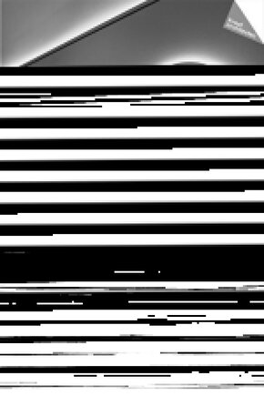 React Pegasus Trail 4 Gore-Tex Kadın Pembe Koşu Ayakkabısı