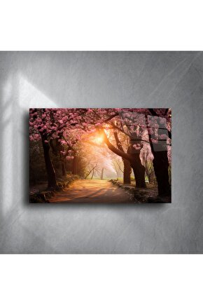 Romantik Kiraz Çiçeği Yolu Duvar Tablosu