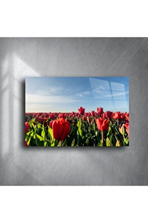 Panoramik Kırmızı Lale Tarlası Cam Tablo