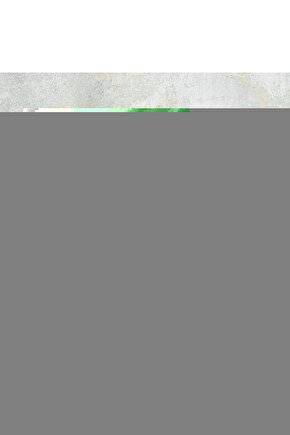 Gri Cepli Beli Lastikli Kenarı Baskılı Şort