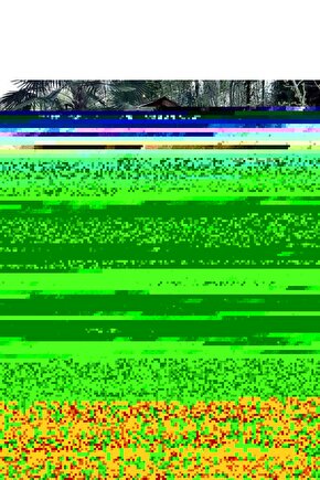 Kaplan Görseli Cam Tablo Duvar Dekoru 3