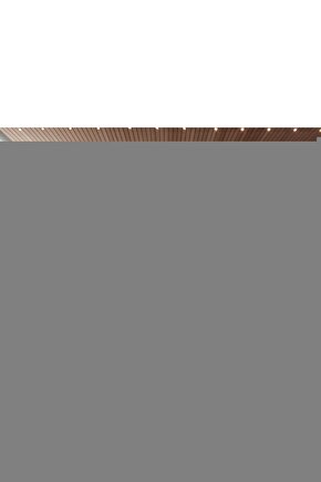 Bambu Çit Kamış Çit Rulo Gölgelik 2 Metre X 5 Metre