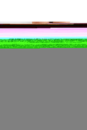 18001 - 2 Suya Dayanıklı Uzaktan Kumandalı Timsah - Gepettoys