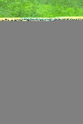 Eco 3lü Mikrofiber Bez