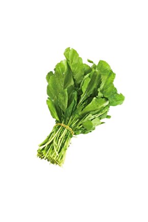 Roka Tohumu 10gr 1 Paket