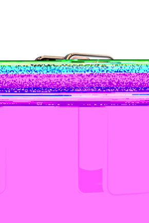 iPhone 11 Pro arka Kapak Kılıf Renkli Siyah kenarlı rose