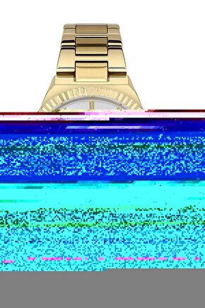 Vtn013874cg Erkek Kol Saati