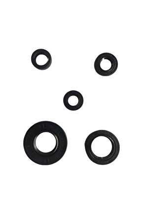 Ybr 5 Li Krank Motor Keçe Seti