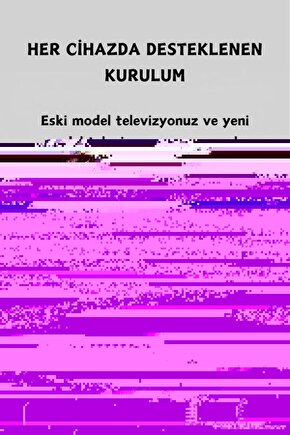 ASILABİLİR 4 ADET OTOMATİK TAVUK FOLLUK YUMURTA HAZNELİ