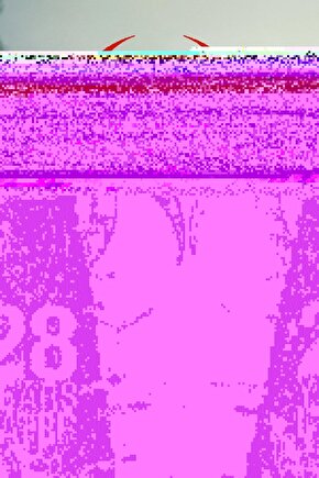 28 Years Later (2025) 005 AFİŞ - POSTER