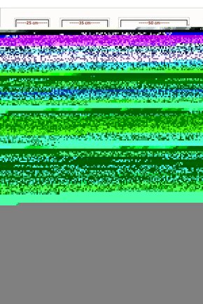 Renkli Tropikal Meyve Fotoğraflı Cam Tablo
