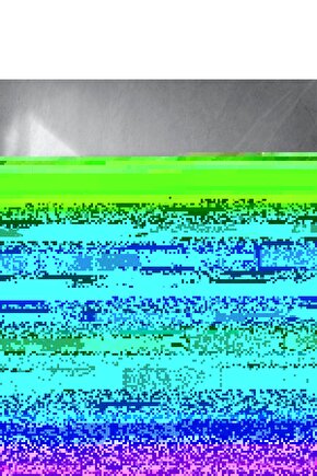 Siyam Kedisi Duvar Posteri