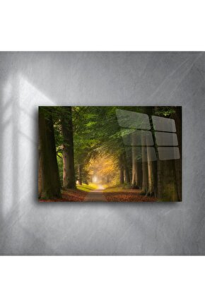 Sisli Orman Yolu Kanvas Tablo
