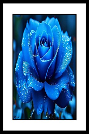 Parlayan Mavi Gül Digital Art ( ÇERÇEVESİZ - ÇERÇEVE YOKTUR ) ( ULTRA HD ) FOLYO AFİŞ - POSTER