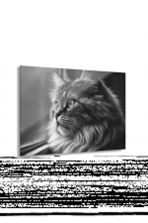 Kedi Cam Tablo Duvar Dekoru 2