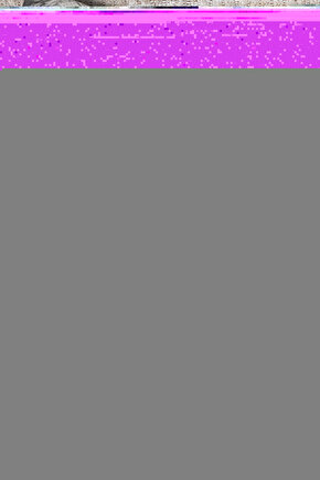 The Last Showgirl (2024) 0001 AFİŞ - POSTER ( FOLYO ) - AFİŞ - POSTER-7382