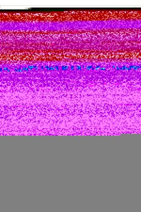 Bir Hukuk Dahisi İmam Azam Ebu Hanife