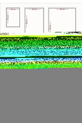 Kangal Toros  Köye Gelen At