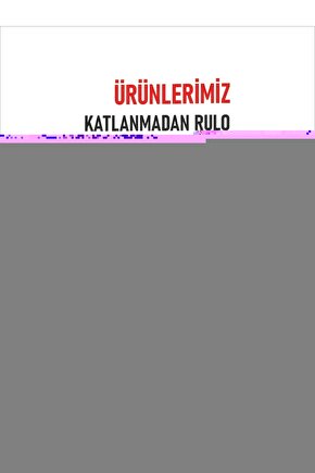 En Güzel Çocuk Romanları (24 Kitap) 3 Ve 4.sınıf Lar.3200 Sayfa