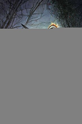 Vestel 43fa9400 Smart Led Tv Kumandası