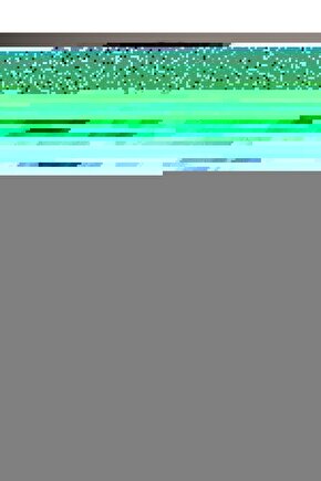 Fantasia (1940) ( FOLYO ) - AFİŞ - POSTER-2762