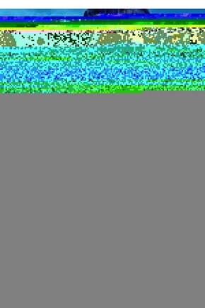 Avatar The Way of Water (2022) 0002 ( FOLYO ) - AFİŞ - POSTER-1451