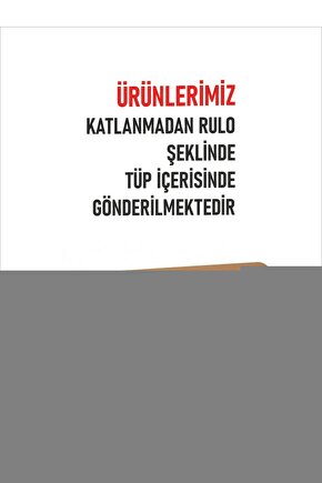 Erkek Beyaz  Klasik Atlet ELF568T0101CCM