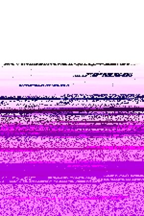 Matisse - Sanat - Soyut - Doğa - Ev - Yaşam ( 2 Li Çerçevesiz ) Poster - Afiş - Tablo NNHT753