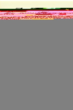 Obez Yatağı 90X190X17