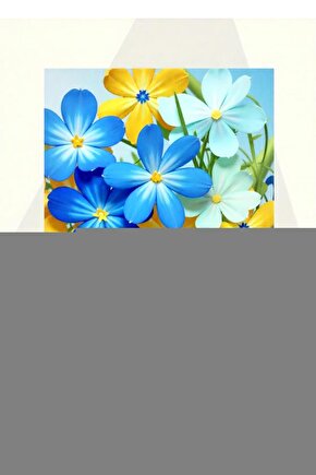 Dorsifleksiyon Brace Plus Düşük Ayak W644