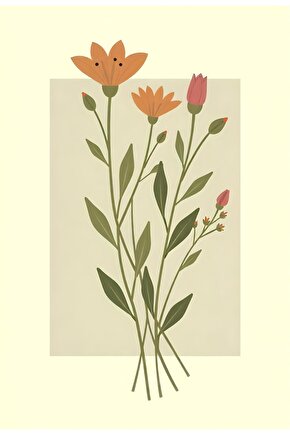 Kolostomi Korse 16 Cm XXLARGE