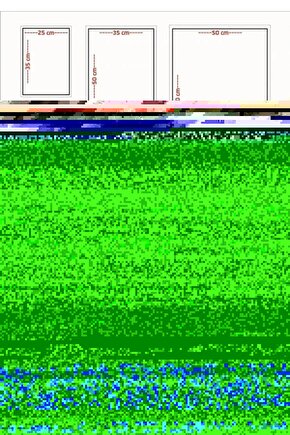 Matisse - Sanat - Soyut - Doğa - Yaşam ( Tekli Çerçevesiz ) Poster - Afiş - Tablo MKKM2325