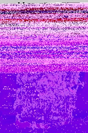 Howls Moving Castle (2004) 004 AFİŞ - POSTER