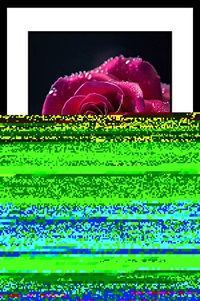 Matisse - Sanat - Soyut - Doğa - Yaşam ( Tekli Çerçevesiz ) Poster - Afiş - Tablo MKKM1065