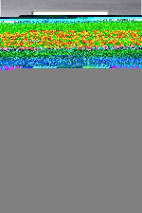 Minik Serçe Digital Art ( ÇERÇEVESİZ - ÇERÇEVE YOKTUR ) ( ULTRA HD ) FOLYO AFİŞ - POSTER