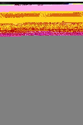 The Purge Anarchy (2014) 4 AFİŞ - POSTER ( FOLYO ) - AFİŞ - POSTER-7773