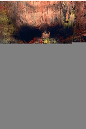 Matisse - Boho - Art Deco - Soyut - Doğa ( 3 lü Çerçevesiz ) Poster - Afiş - Tablo KR2C00158