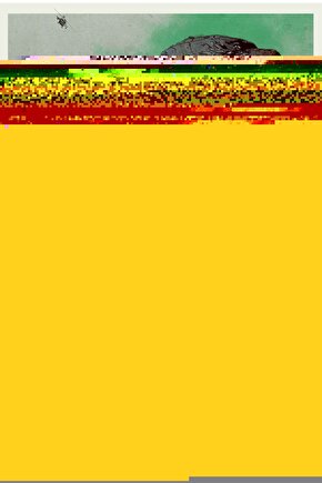 Godzilla (2014) 3 ( FOLYO ) - AFİŞ - POSTER-3099