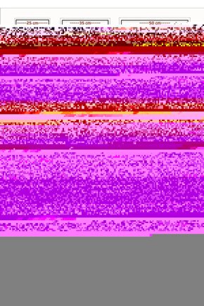 The Strangers Chapter 1 (2024) 0001 AFİŞ - POSTER ( FOLYO ) - AFİŞ - POSTER-7918